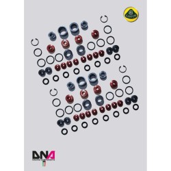 Kit racing trapezi anteriori inferiori Lotus Exige V6